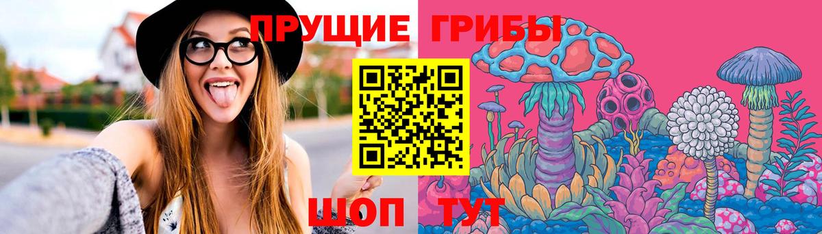 Галлюциногенные грибы Magic Shrooms  продажа наркотиков  Черемхово  Вход с VPN 