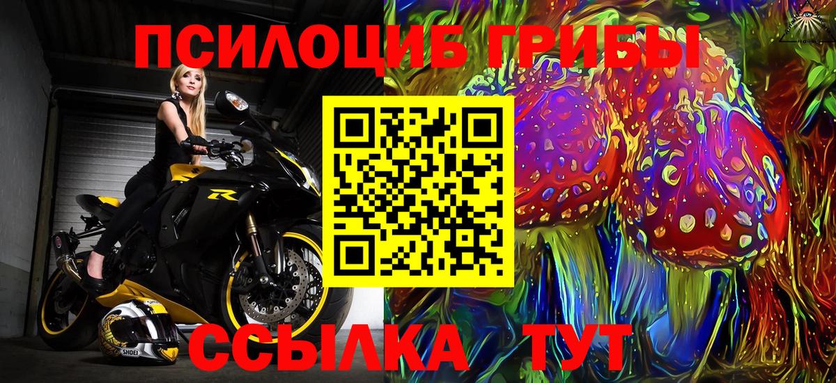 Псилоцибиновые грибы мицелий Черемхово